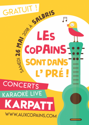 Festival chanson à Salbris 41