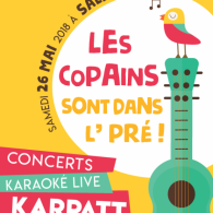 Festival chanson à Salbris 41